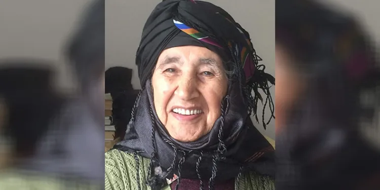 Bilim insanı Canan Dağdeviren’in acı günü