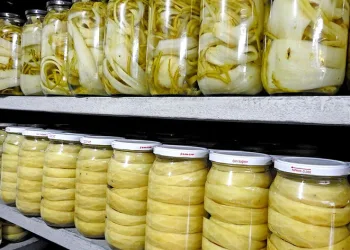 12 ay boyunca tüketiciye ulaştırıyor