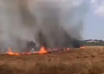 İnegöl’de buğday tarlası alevlere teslim oldu