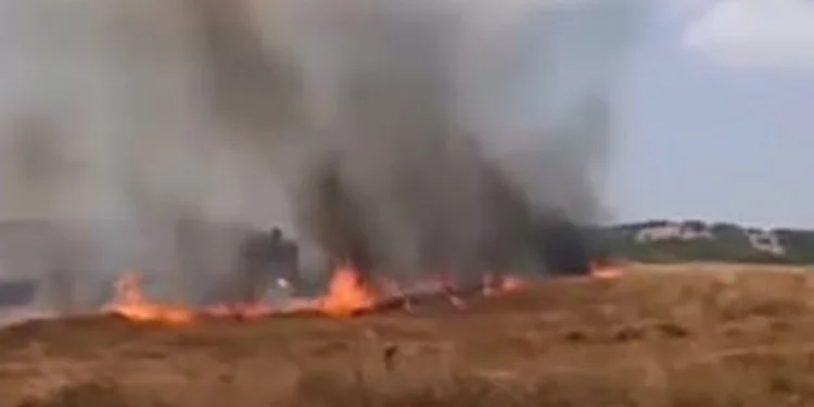 İnegöl’de buğday tarlası alevlere teslim oldu