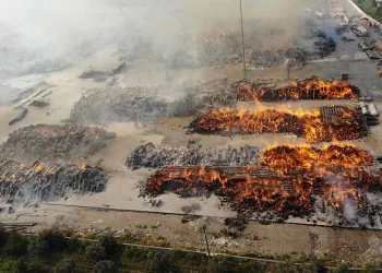 Kipaş Kağıt Fabrikası’ndaki yangın devam ediyor