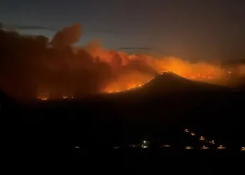 Soma’da orman yangını