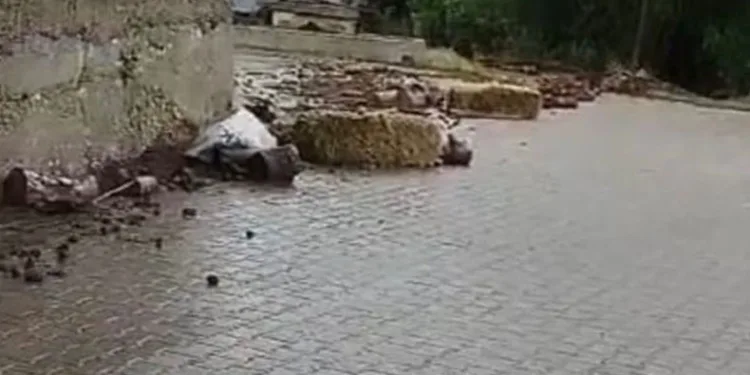 Seben’de dereler taştı
