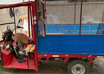 Bazada bulunan cesedin sırrı çözüldü
