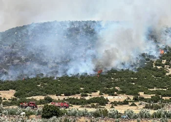 Kahramanmaraş’ta makilik alanda yangın