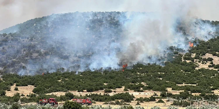 Kahramanmaraş’ta makilik alanda yangın