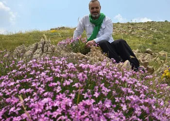 Zoveser doğasıyla ziyaretçilerini büyülüyor