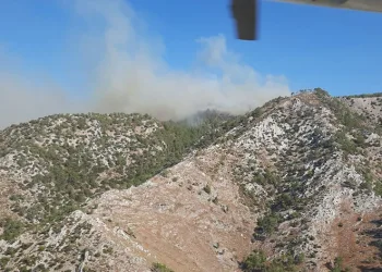Milas’ta orman yangını
