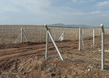 Tarım arazilerini aykırı kullananlara ceza yağdı