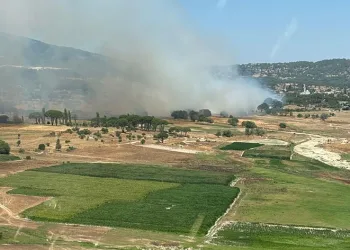 Milas’ta ikinci orman yangını