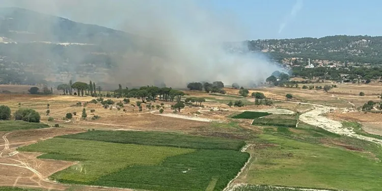 Milas’ta ikinci orman yangını