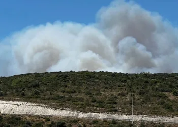 Çeşme’deki orman yangınına havadan ve karadan müdahale