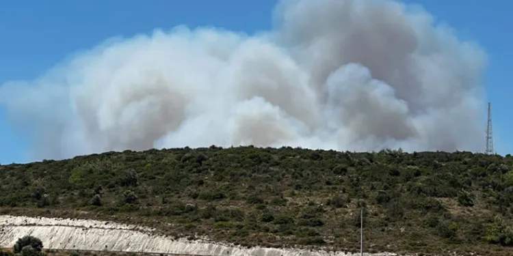 Çeşme’deki orman yangınına havadan ve karadan müdahale