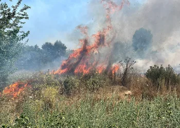 Bursa’da otluk alanda çıkan yangın büyümeden söndürüldü