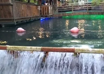 Köyceğiz’de bulunan doğal klima
