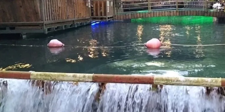 Köyceğiz’de bulunan doğal klima