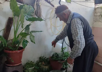 Uzun ömrünü doğal ürünlere borçlu