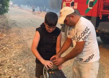 Orman yangınında kirpiyi yanmaktan kurtarıp serinlettiler