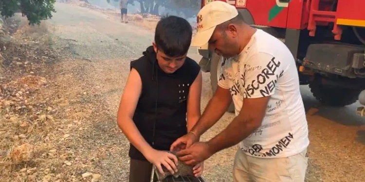 Orman yangınında kirpiyi yanmaktan kurtarıp serinlettiler