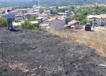 Bursa’da otluk alanda çıkan yangın söndürüldü