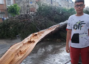 Ağacın altında kalmaktan son anda kurtuldu