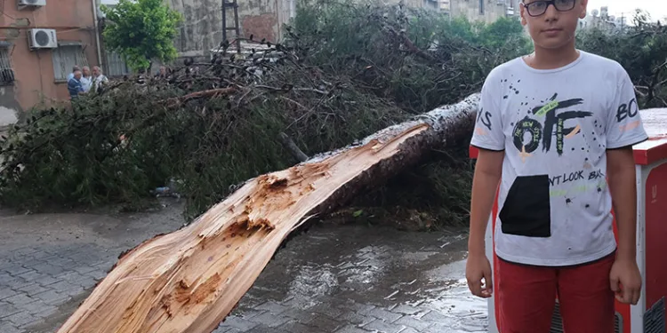 Ağacın altında kalmaktan son anda kurtuldu