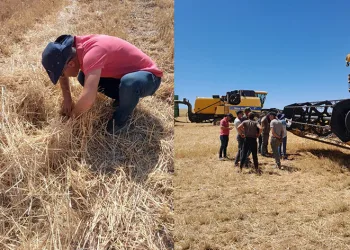 Niğde’de çiftçilere uyarı