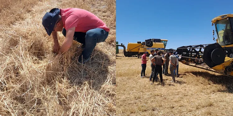 Niğde’de çiftçilere uyarı