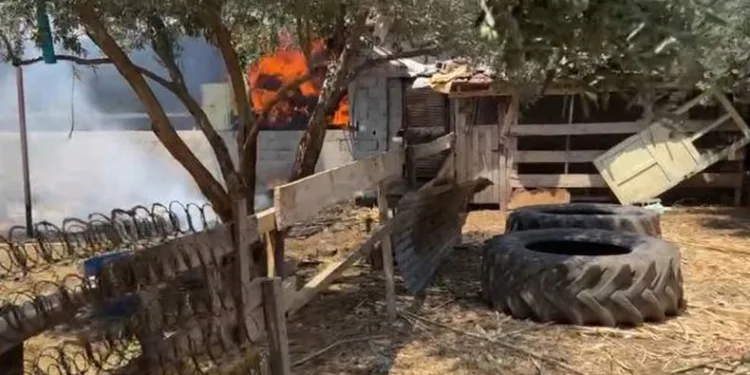 Samanlık yangını büyümeden söndürüldü