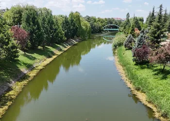 Porsuk Çayı yosun tuttu