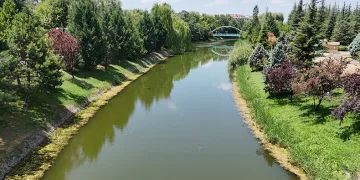 Porsuk Çayı yosun tuttu