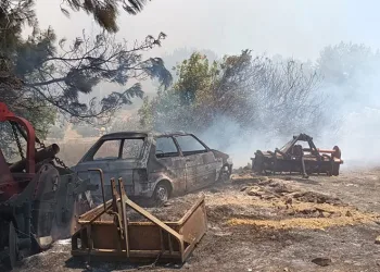 Antalya’da orman dışı otluk alanda yangın