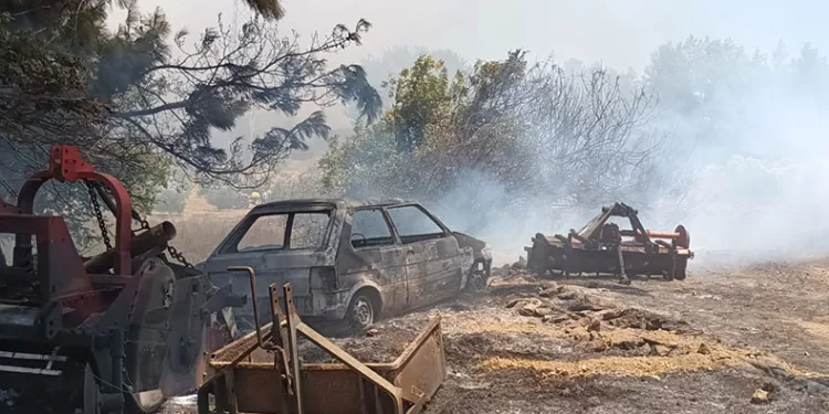 Antalya’da orman dışı otluk alanda yangın