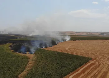 Tekirdağ’da anız yangını 500 dönüm yandı