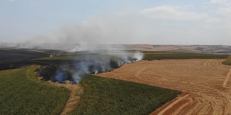 Tekirdağ’da anız yangını 500 dönüm yandı