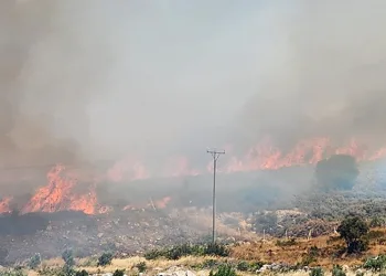 Urla ve Çeşme’de orman yangını
