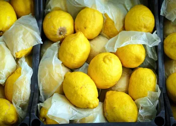 Limonun tanesi 10 TL’ye dayandı