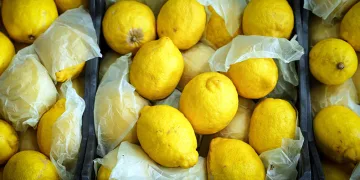 Limonun tanesi 10 TL’ye dayandı