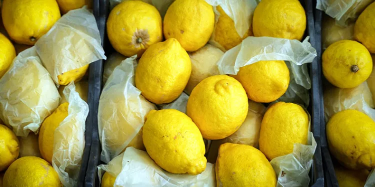Limonun tanesi 10 TL’ye dayandı