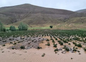 Bayburt’ta dolu ekili alanlara zarar verdi