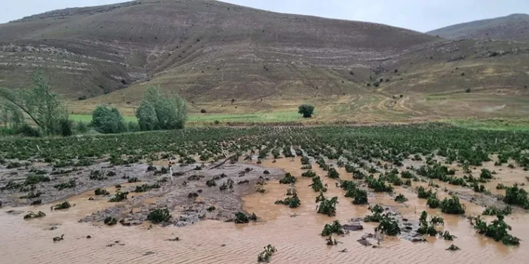 Bayburt’ta dolu ekili alanlara zarar verdi
