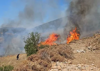 Muğla’nın Menteşe İlçesinde tarım arazisi yangını