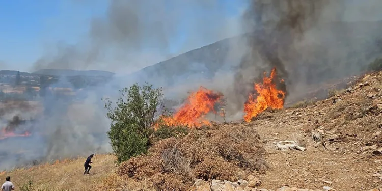 Muğla’nın Menteşe İlçesinde tarım arazisi yangını