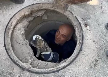 Lağım borusuna sıkışan kediyi itfaiye ekipleri kurtardı