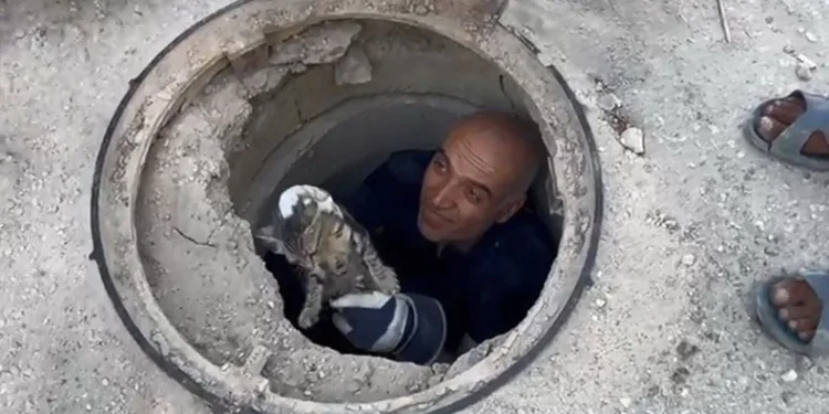 Lağım borusuna sıkışan kediyi itfaiye ekipleri kurtardı