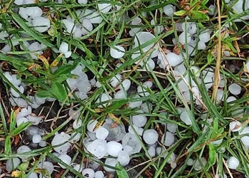 Ardahan’da sağanak ve dolu yağışı etkili oldu
