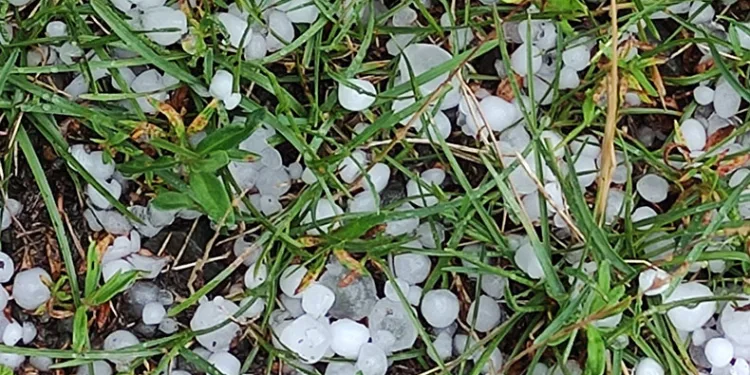Ardahan’da sağanak ve dolu yağışı etkili oldu