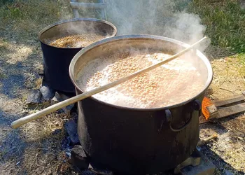 Dutun şifa yolculuğu başladı