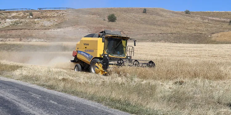 Türkiye’nin tahıl ambarında hasat erken başladı