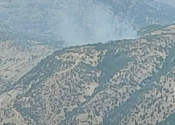 Şırnak’ta orman yangını
